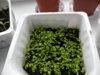 DSCN4936.JPG