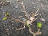 DSCN4961.JPG