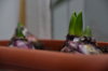 DSC_6341.jpg