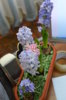 DSC_6876.jpg