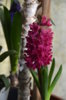 DSC_6883.jpg