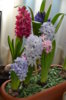 DSC_6890.jpg