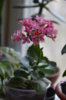 DSC_7920.jpg