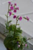 DSC_7929.jpg
