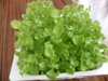 DSCN5007.JPG