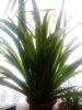 20140405_103451.jpg