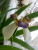 20140405_103117.jpg