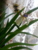 20140405_103053.jpg