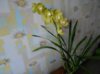 DSCN1151.jpg