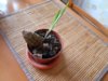 DSCN1079.jpg