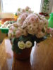 DSC05149.JPG