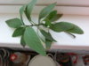 20140410_163155.jpg