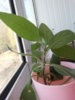 20140410_163225.jpg