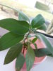20140410_163207.jpg