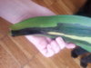 20140414_132638.jpg