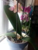 20140414_132713.jpg