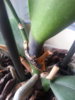 20140414_132811.jpg