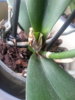 20140414_132802.jpg
