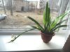 DSC00750.JPG