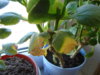 DSC05154.JPG