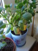 DSC05155.JPG