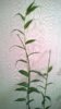 WP_20140427_008.jpg