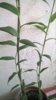 WP_20140427_011.jpg