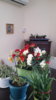 20140330_125111.jpg