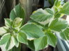DSCN1851.JPG