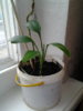 20140510_202130.jpg