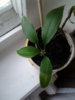 20140510_202152.jpg