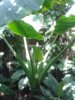 20140511_125210.jpg