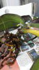 20140511_201629.jpg