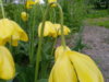 рhoto-2178.jpg