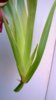 WP_20140516_009.jpg