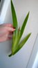 WP_20140516_010.jpg