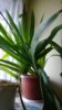 WP_20140516_011.jpg