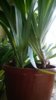 WP_20140516_012.jpg