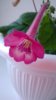 WP_20140516_004.jpg