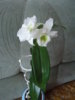 DSC00820.JPG