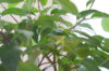 DSC07697.JPG