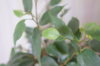 DSC07701.JPG