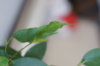 DSC07702.JPG