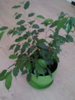 20140519_155955.jpg