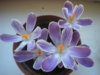 DSCN3815.JPG