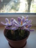 DSCN3816.JPG