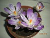 DSCN3820.JPG