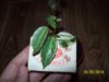 100_8952.JPG