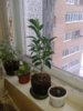 20140108_134253.jpg