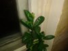 20140212_070030.jpg